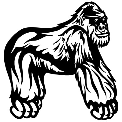 Gorilla